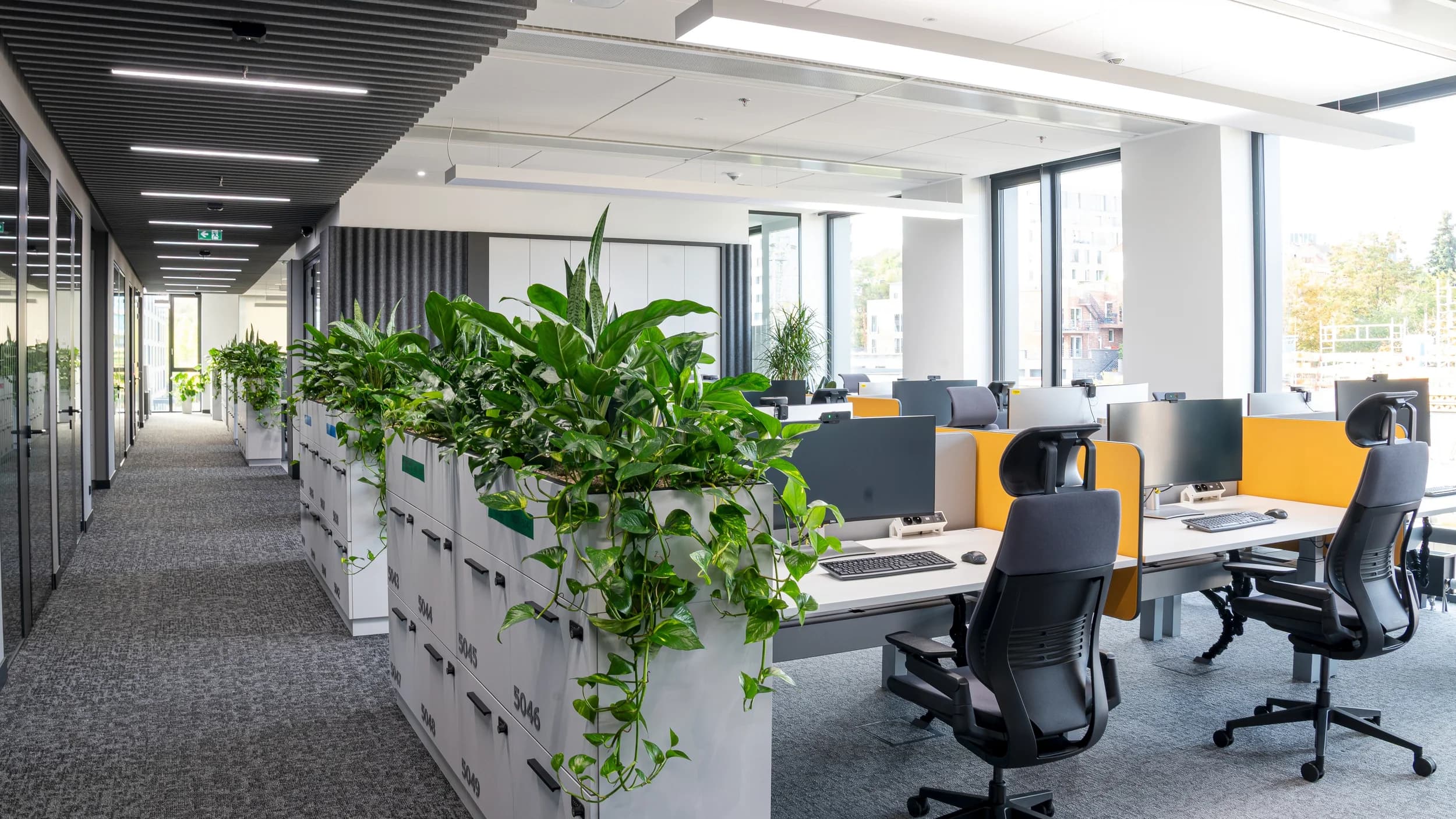 Open space Citibank v Praze se žlutými paravány mezi stoly, černými židlemi a skříňkami s rostlinami